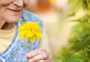Nature Prescription: The Missing Link in Dementia Treatment